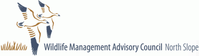 wildlife-management-advisory-council-north-slope